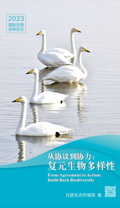 海報03