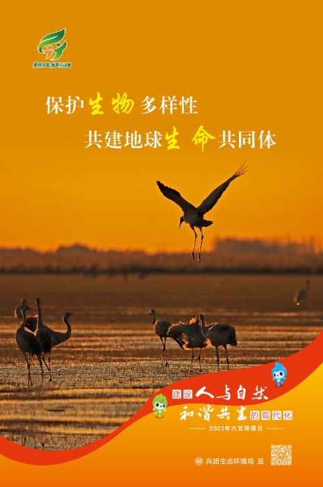 圖2