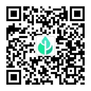 圖片1